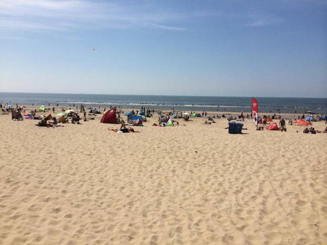 Strand83 Egmond aan Zee Eksteriør billede