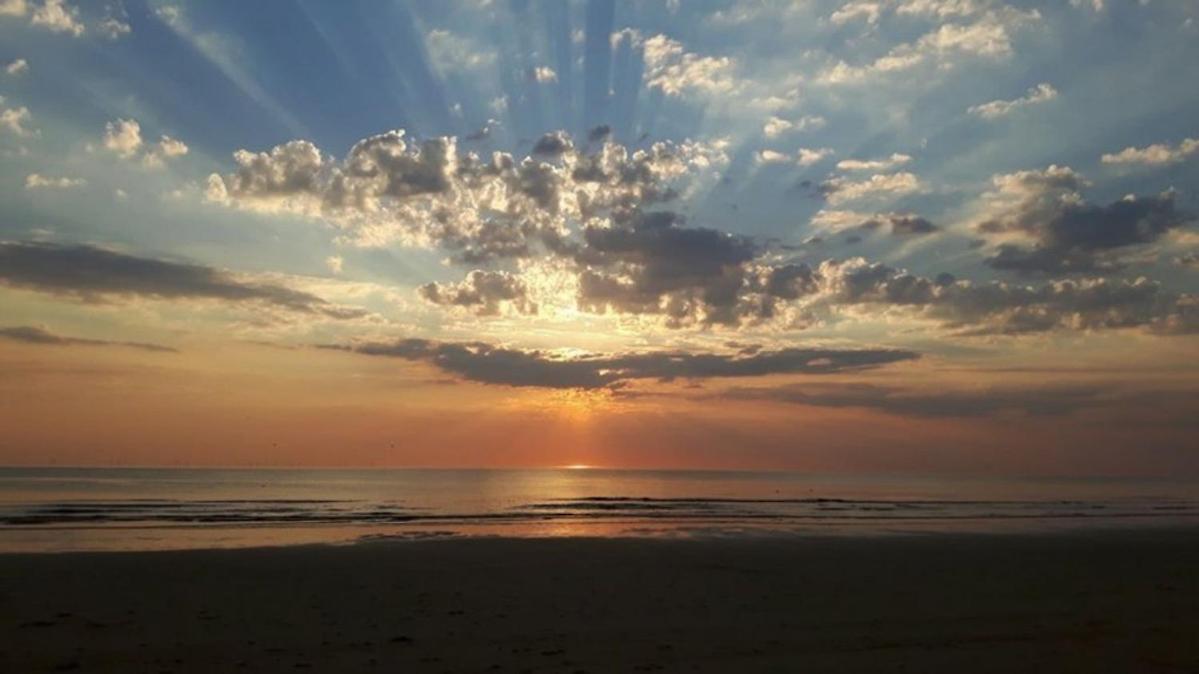 Strand83 Egmond aan Zee Eksteriør billede