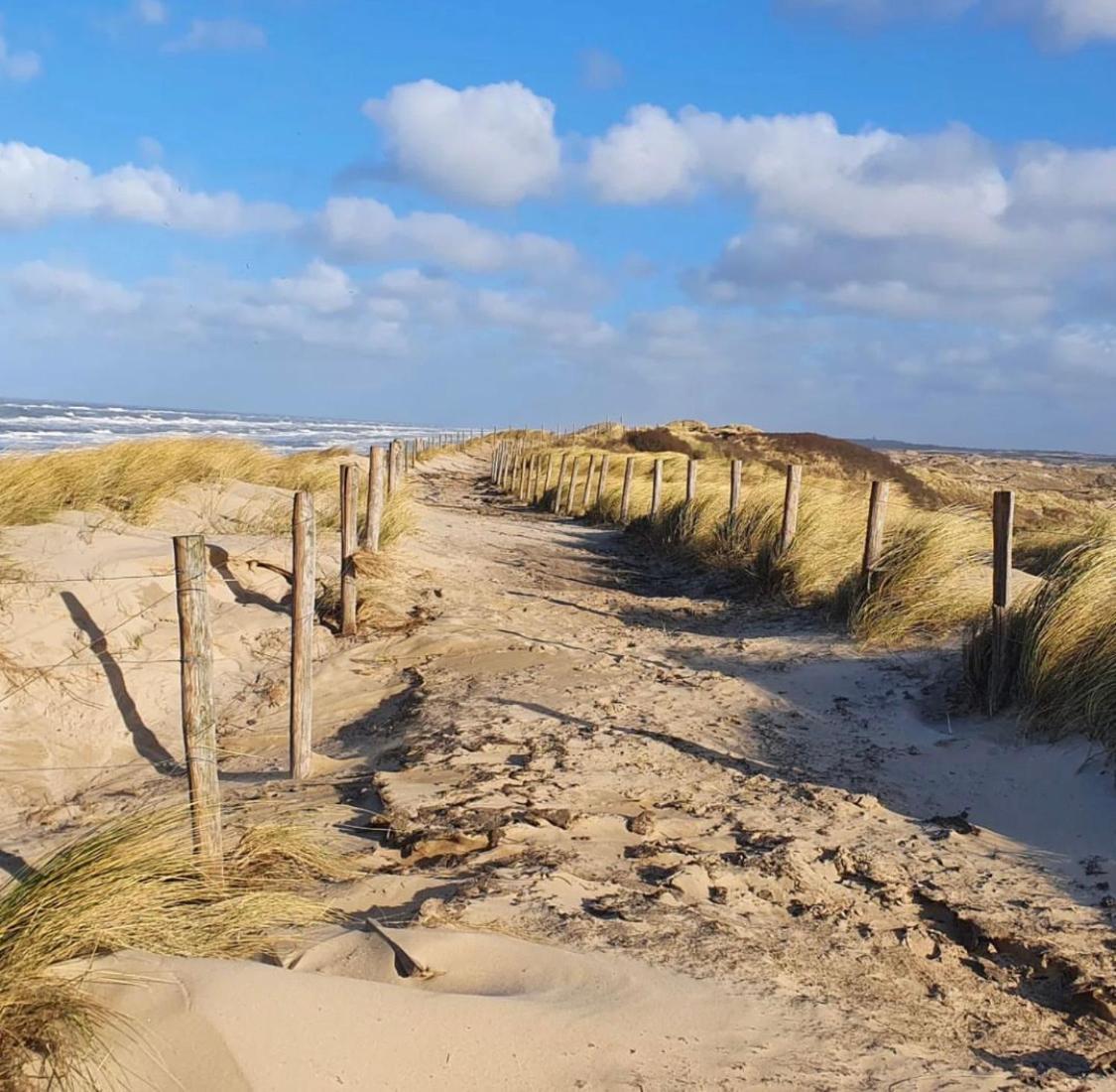 Strand83 Egmond aan Zee Eksteriør billede