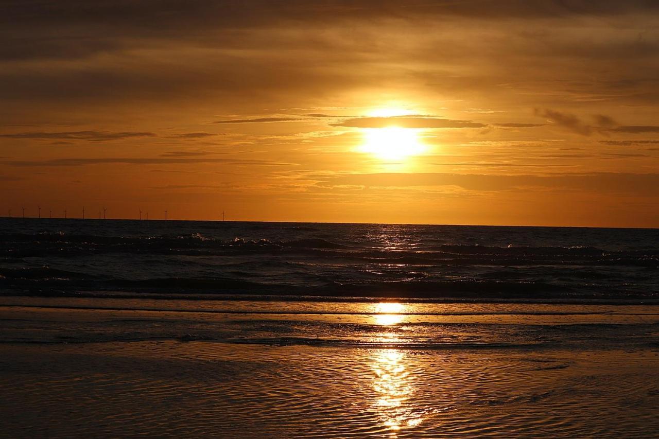Strand83 Egmond aan Zee Eksteriør billede