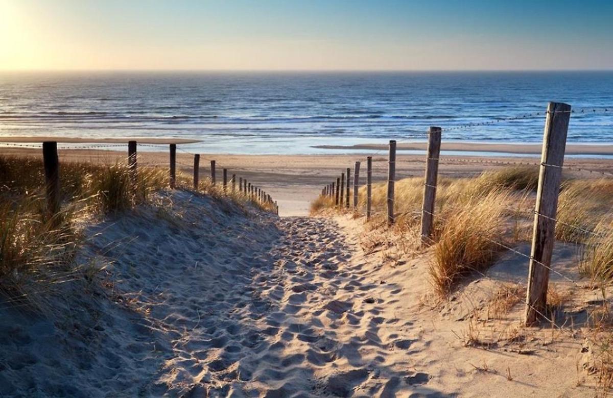 Strand83 Egmond aan Zee Eksteriør billede